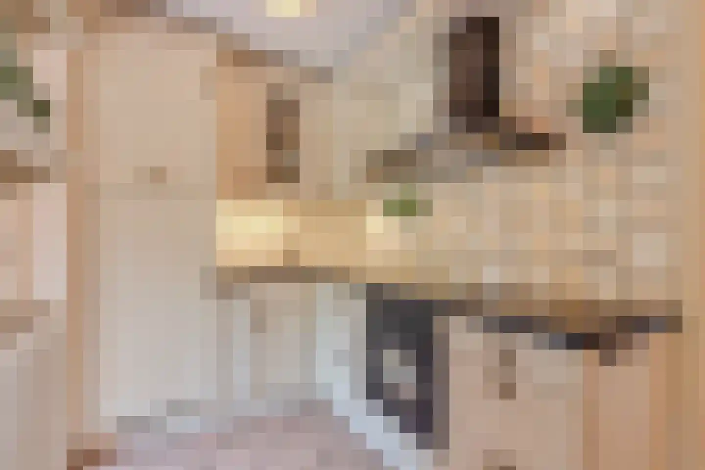 Vliegersveld 3 Biddinghuizen thumbnail 23
