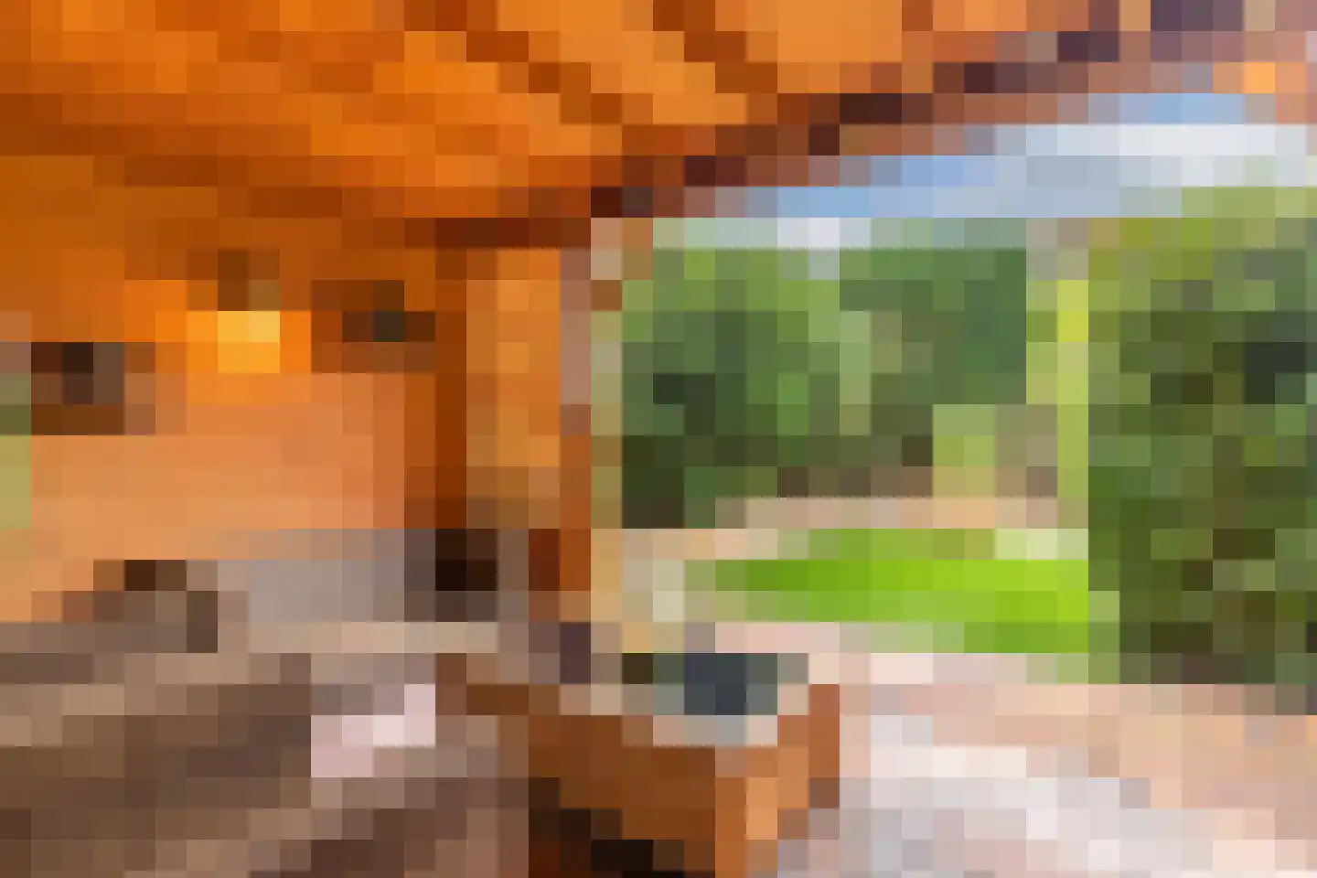 Vliegersveld 3 Biddinghuizen thumbnail 37
