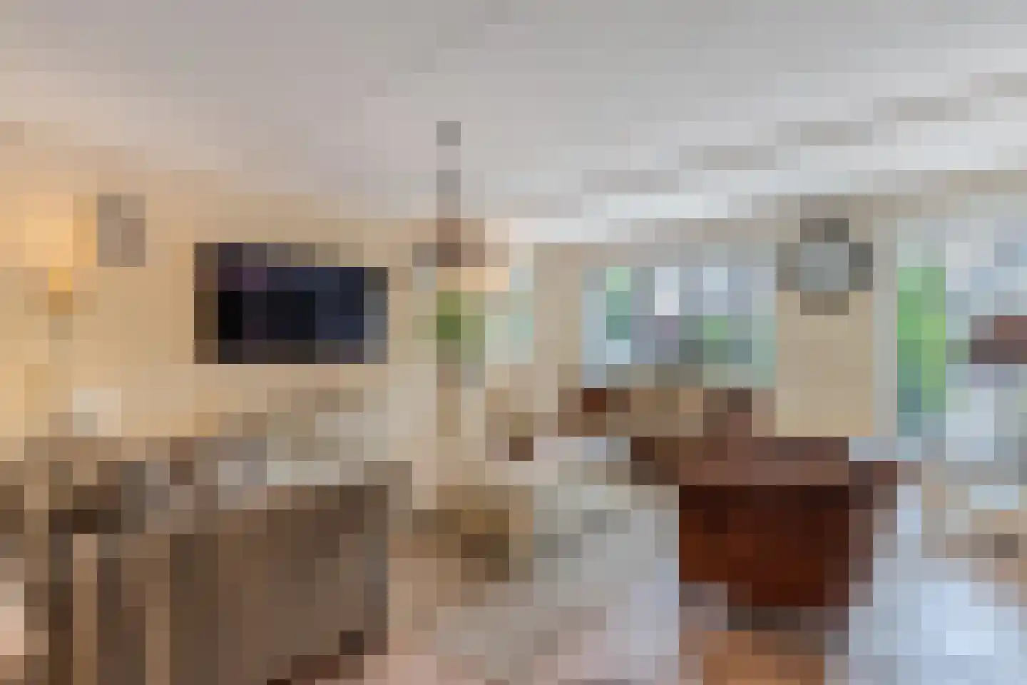 Vliegersveld 3 Biddinghuizen thumbnail 5