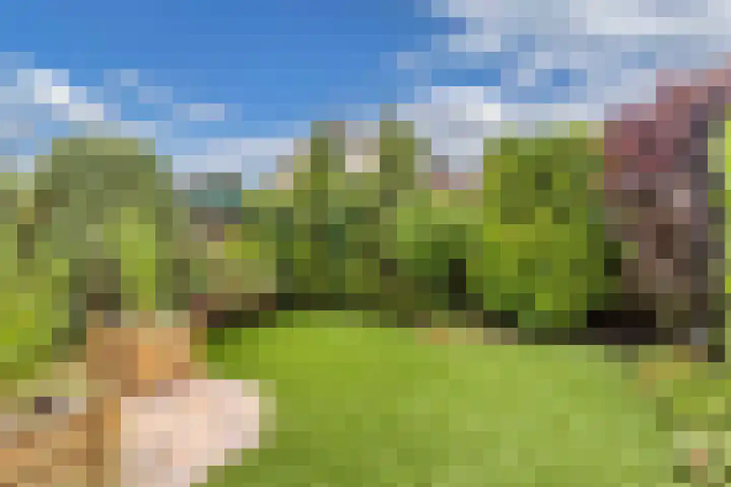 Vliegersveld 3 Biddinghuizen thumbnail 50
