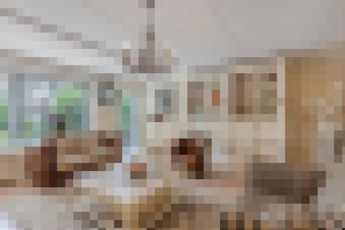 Vliegersveld 3 Biddinghuizen thumbnail 6