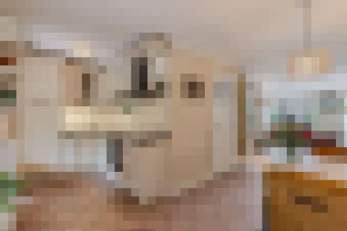 Vliegersveld 3 Biddinghuizen thumbnail 7