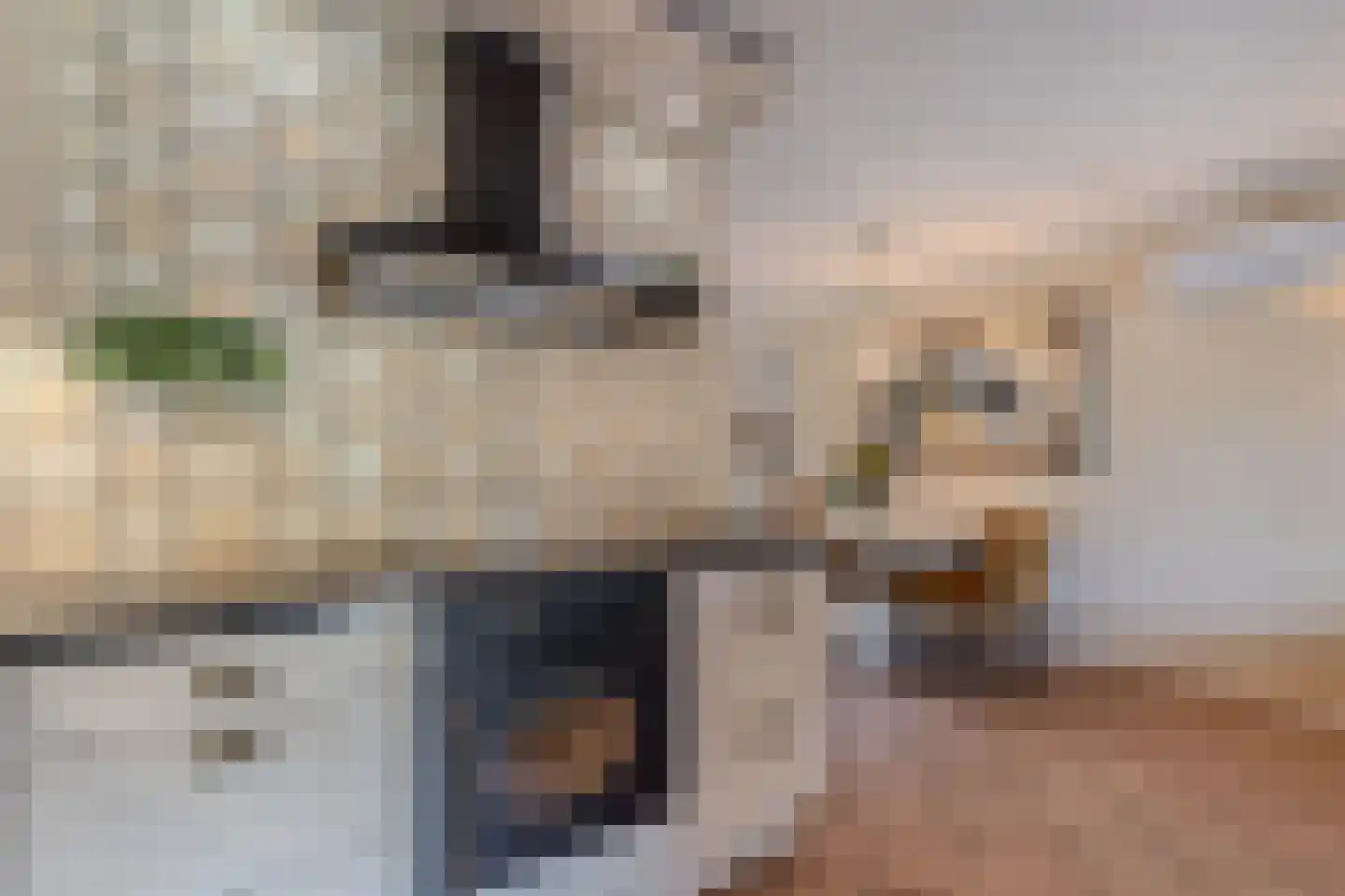 Vliegersveld 3 Biddinghuizen thumbnail 8