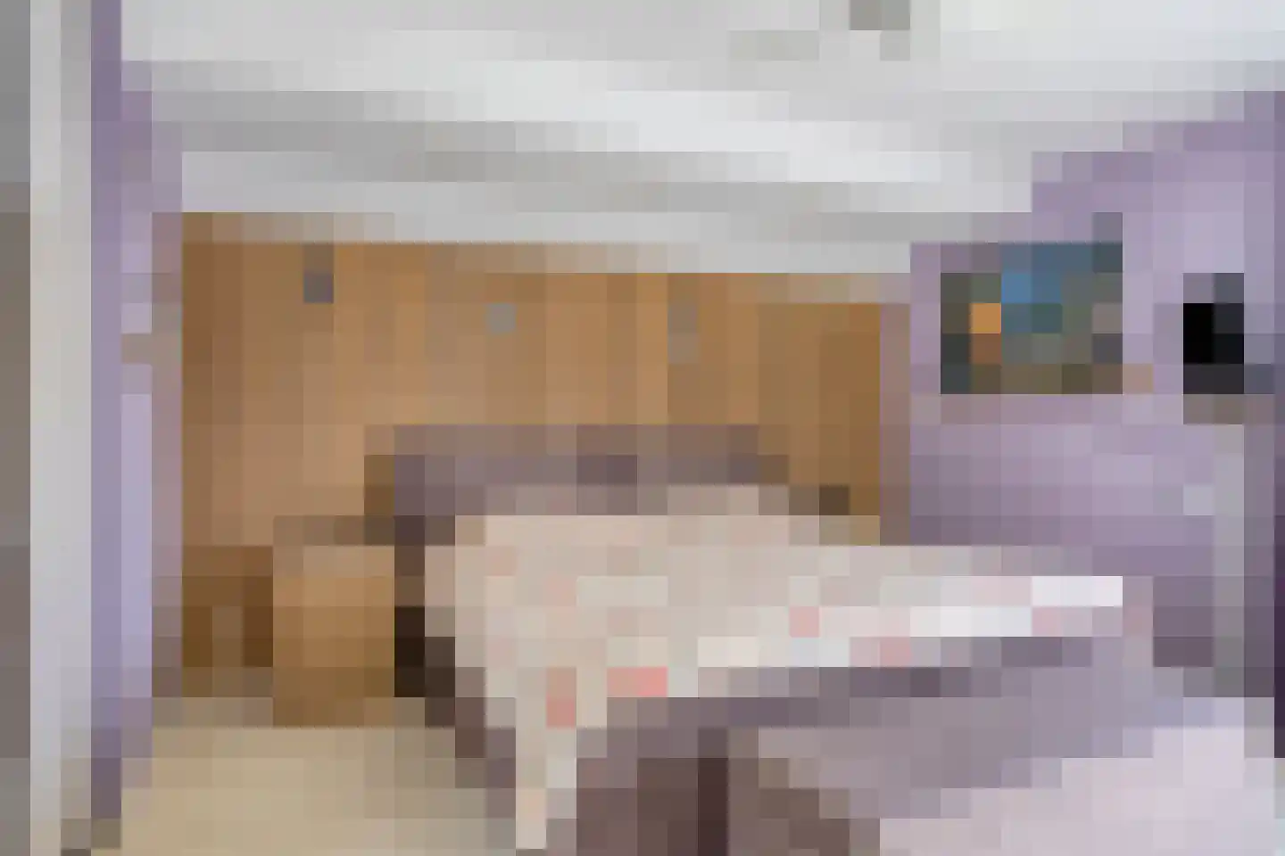 Vliegersveld 6 Biddinghuizen thumbnail 22