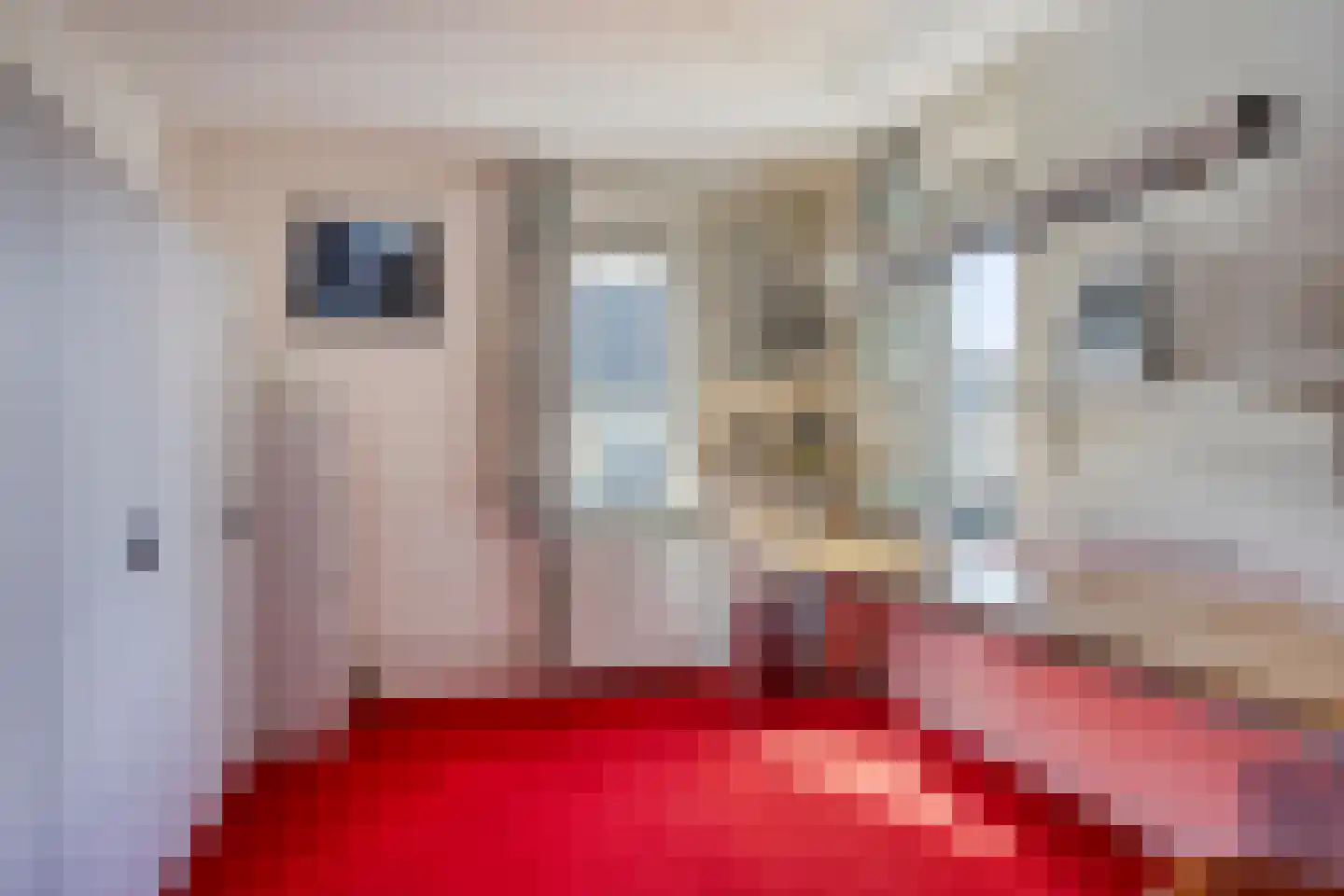 Vliegersveld 6 Biddinghuizen thumbnail 29