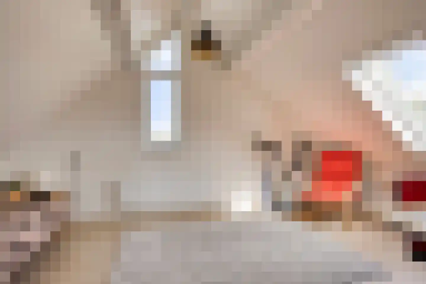 Vliegersveld 6 Biddinghuizen thumbnail 38