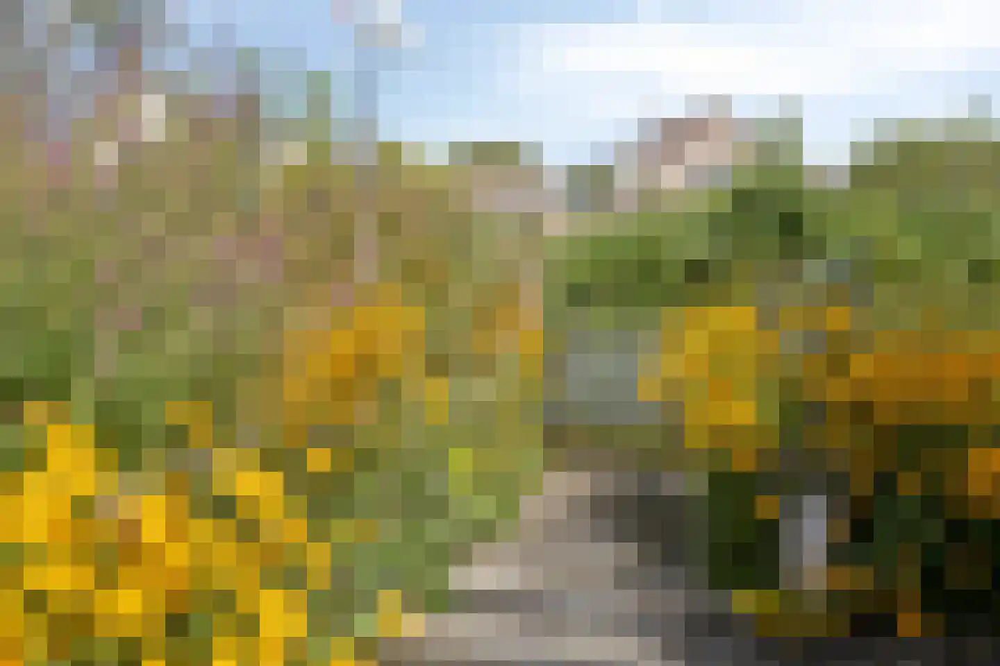 Vliegersveld 6 Biddinghuizen thumbnail 47