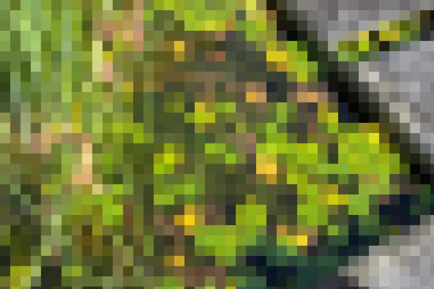 Vliegersveld 6 Biddinghuizen thumbnail 48