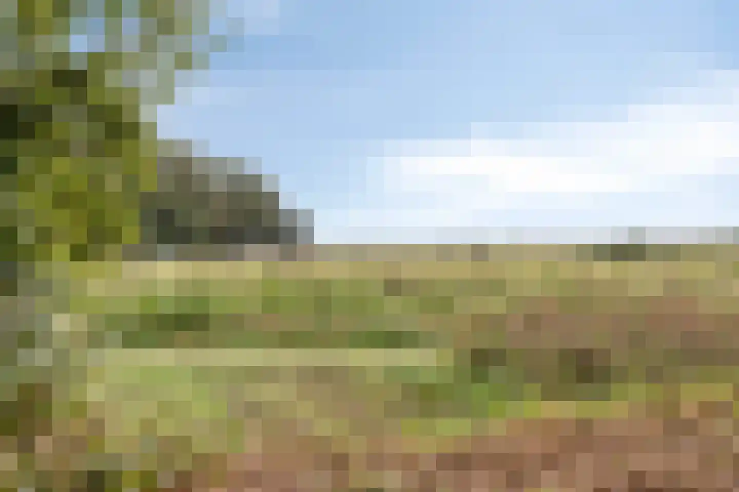 Vliegersveld 6 Biddinghuizen thumbnail 50