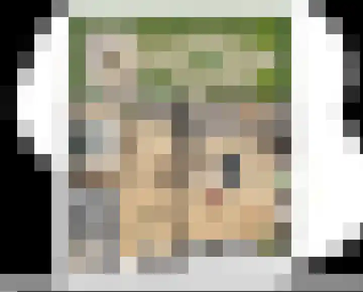 Vliegersvelderlaan 120 Barneveld thumbnail 7