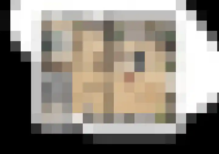 Vliegersvelderlaan 136 Barneveld thumbnail 7
