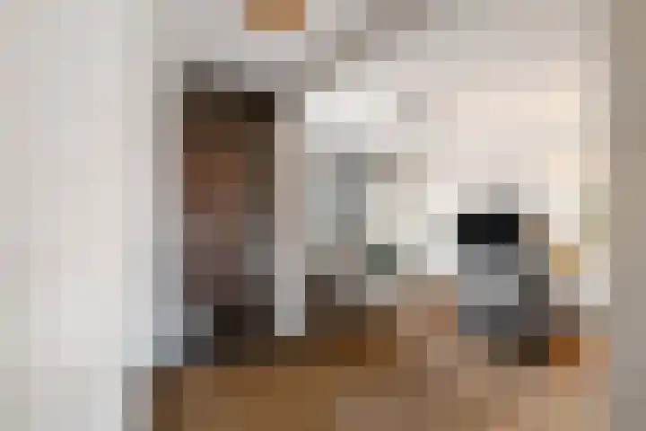Vliegersvelderlaan 20 Barneveld thumbnail 15