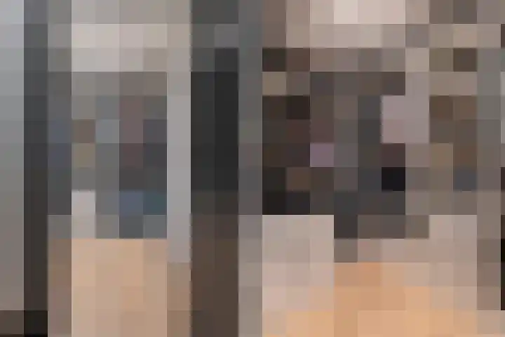 Vliegersvelderlaan 20 Barneveld thumbnail 32