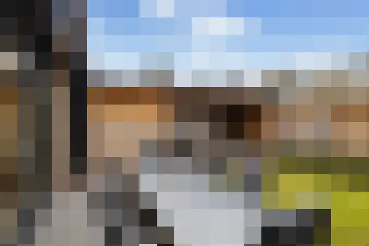 Vliegersvelderlaan 20 Barneveld thumbnail 41