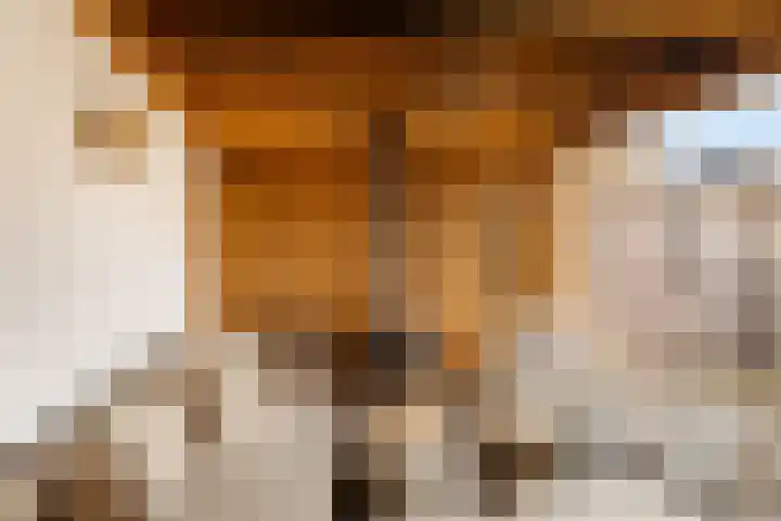 Vliegersvelderlaan 20 Barneveld thumbnail 43