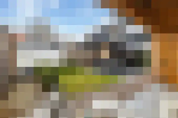 Vliegersvelderlaan 20 Barneveld thumbnail 45