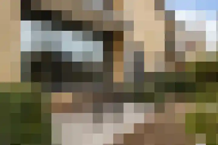 Vliegersvelderlaan 20 Barneveld thumbnail 52