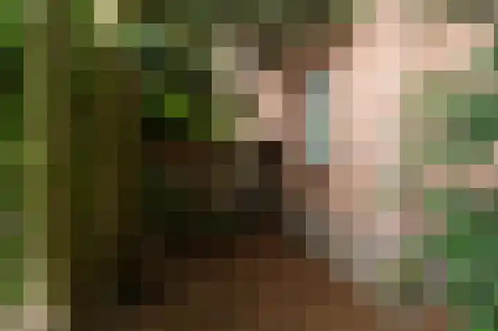 Vliegersvelderlaan 32 Barneveld thumbnail 33