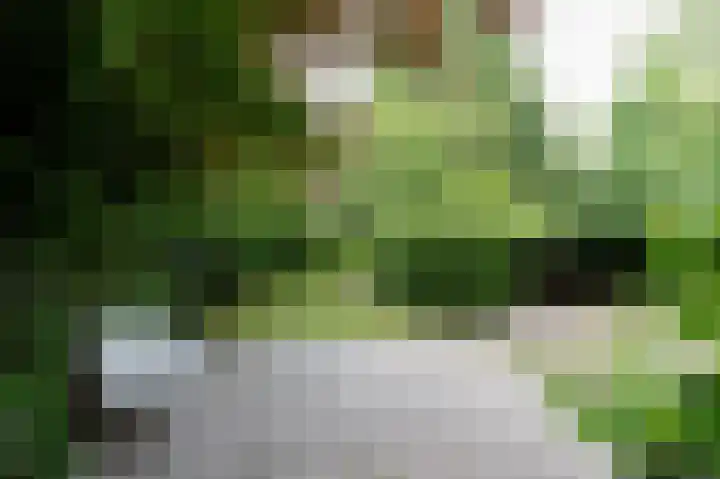 Vliegersvelderlaan 32 Barneveld thumbnail 34