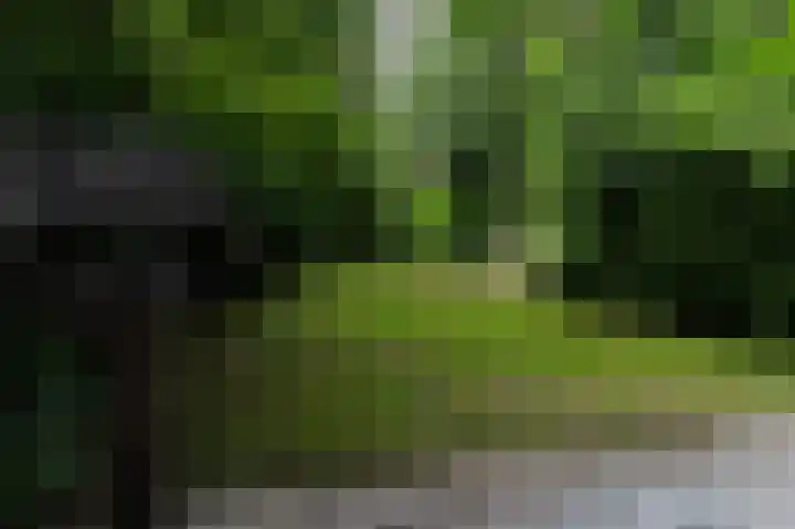 Vliegersvelderlaan 32 Barneveld thumbnail 36