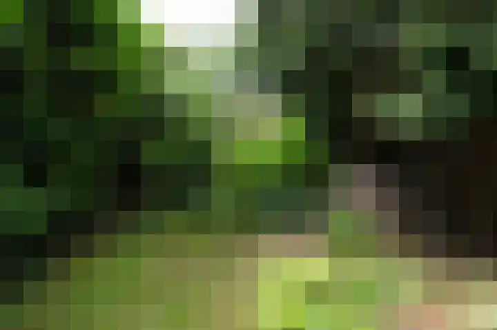Vliegersvelderlaan 32 Barneveld thumbnail 37
