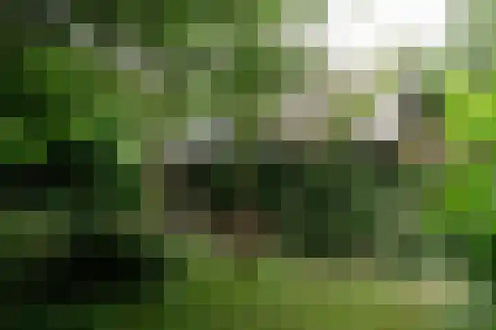 Vliegersvelderlaan 32 Barneveld thumbnail 38