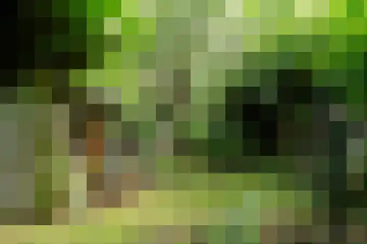 Vliegersvelderlaan 32 Barneveld thumbnail 39