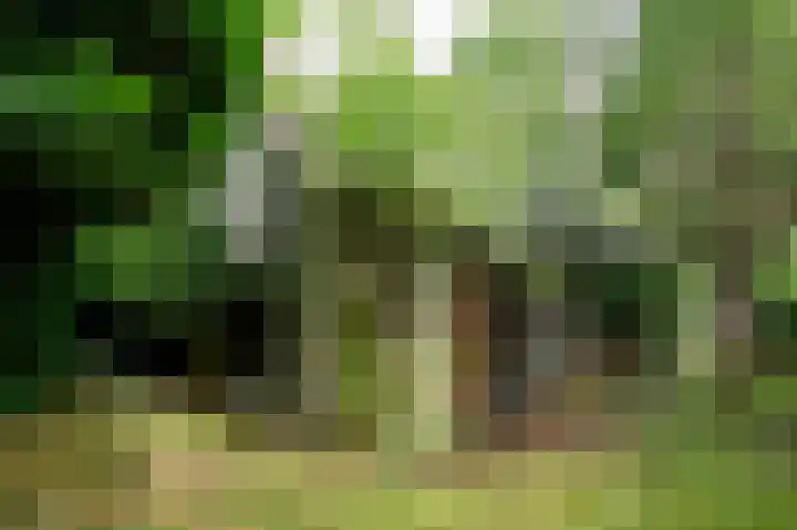 Vliegersvelderlaan 32 Barneveld thumbnail 40