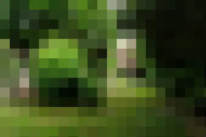 Vliegersvelderlaan 32 Barneveld thumbnail 41
