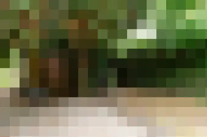 Vliegersvelderlaan 32 Barneveld thumbnail 43