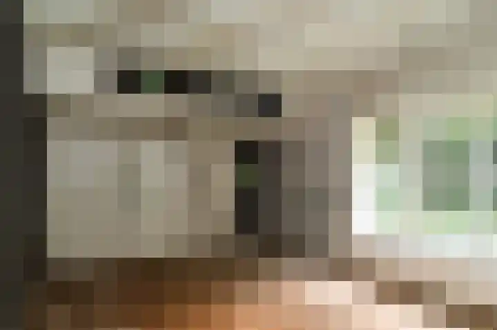 Vliegersvelderlaan 32 Barneveld thumbnail 50