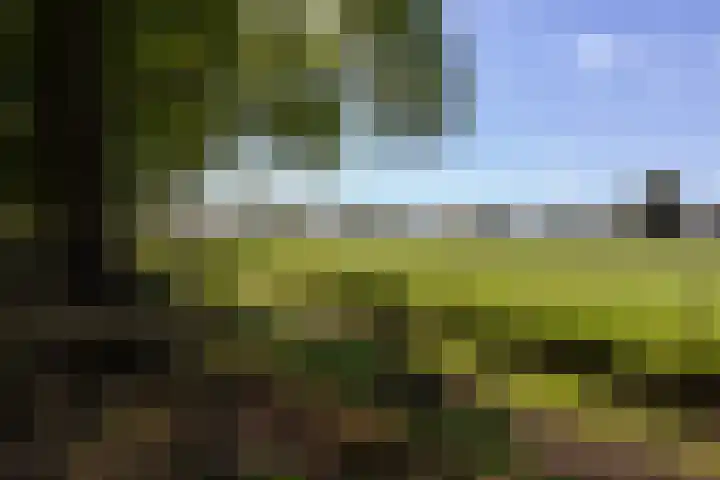 Vliegersvelderlaan 32 Barneveld thumbnail 58