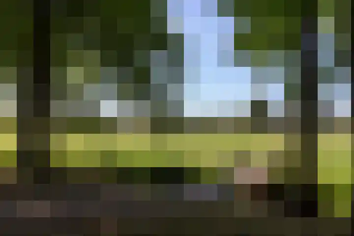Vliegersvelderlaan 32 Barneveld thumbnail 59