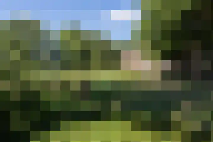 Vliegersvelderlaan 32 Barneveld thumbnail 60