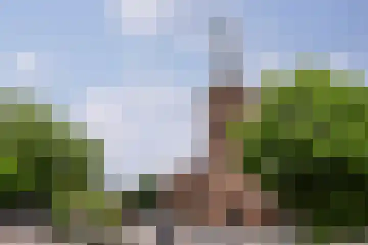 Vliegersvelderlaan 32 Barneveld thumbnail 66