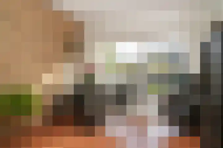Vliegerweg 7 Culemborg thumbnail 8