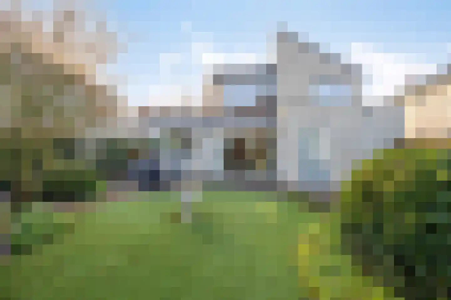 Vliegezwam 3 Veenendaal