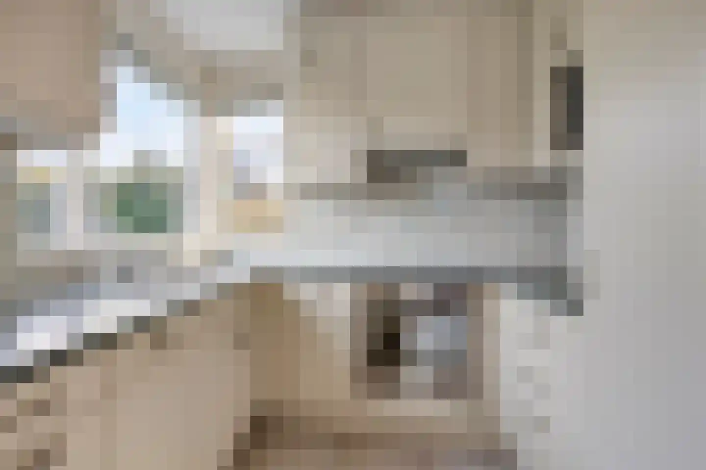 Vliegezwam 3 Veenendaal thumbnail 13