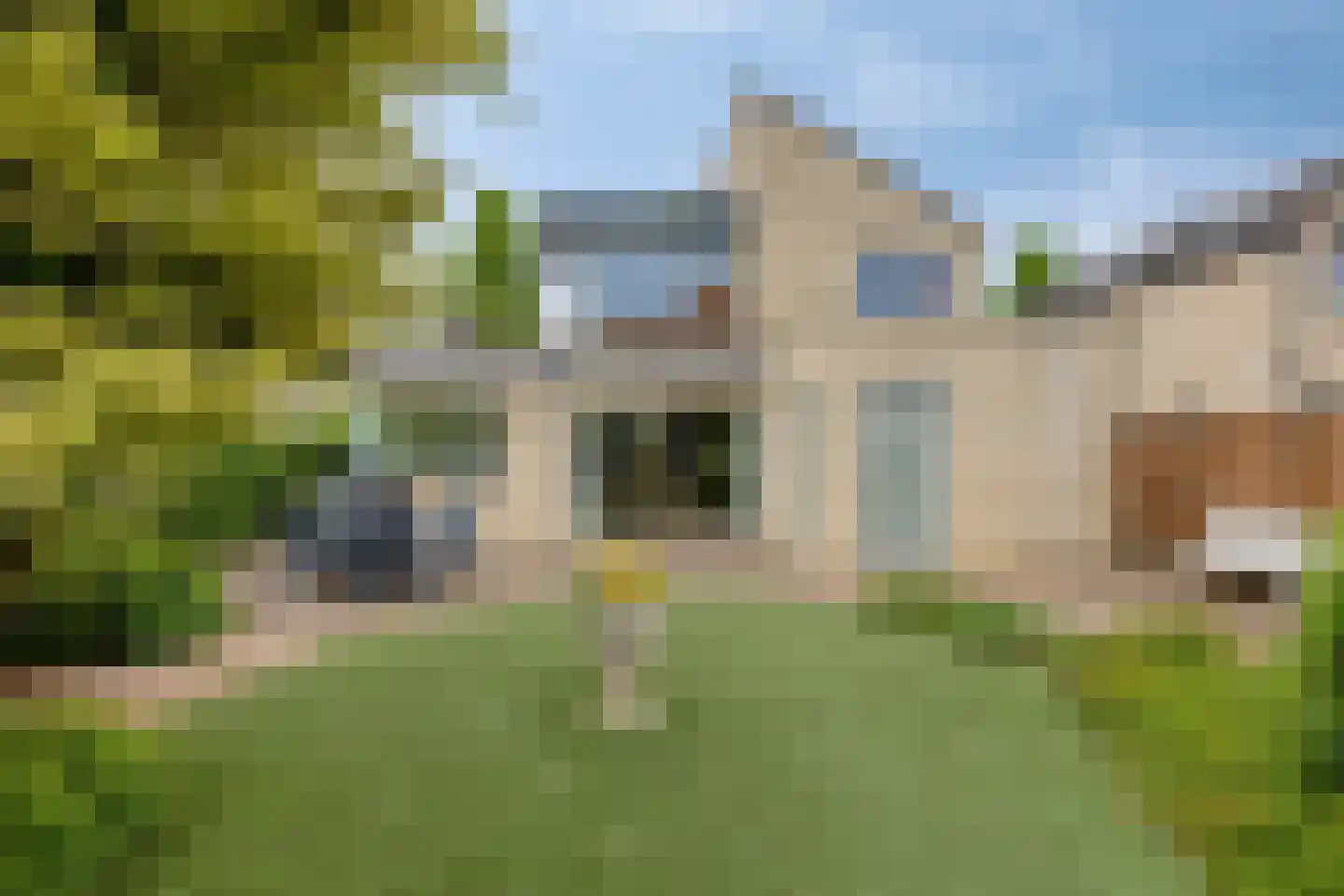 Vliegezwam 3 Veenendaal foto 2