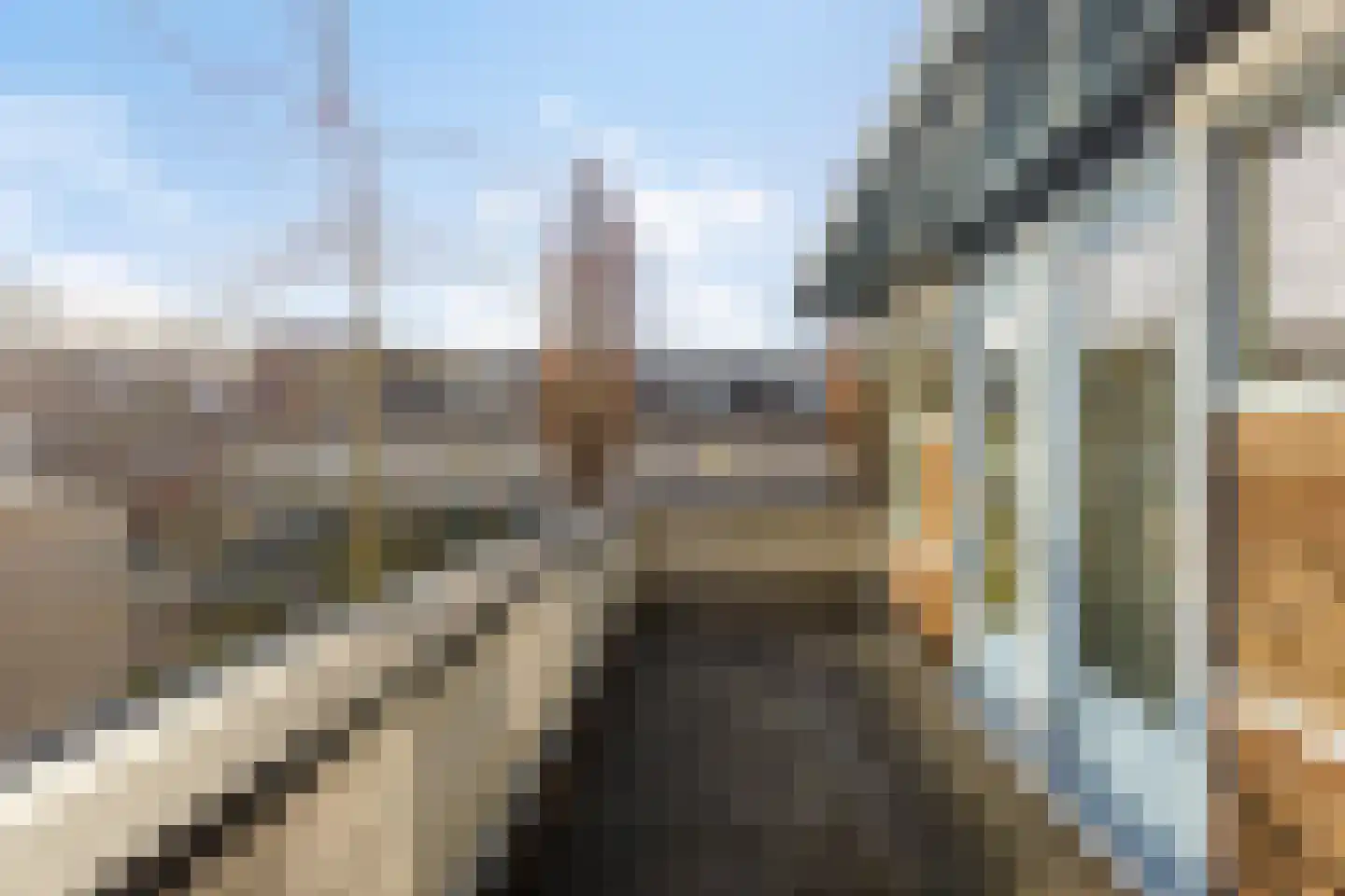 Vliegezwam 3 Veenendaal thumbnail 21