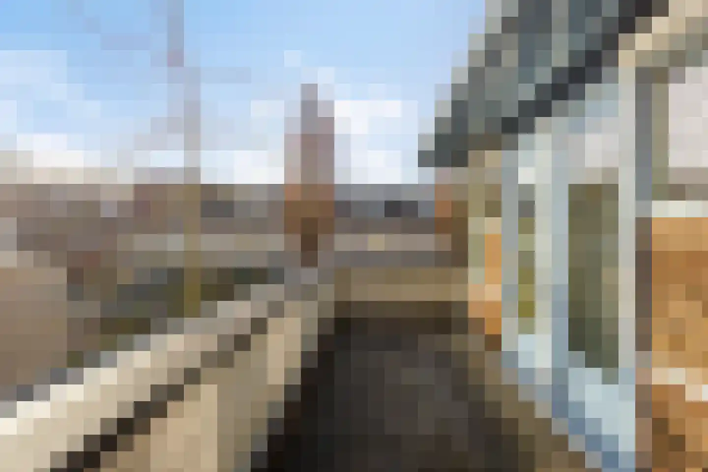 Vliegezwam 3 Veenendaal thumbnail 21