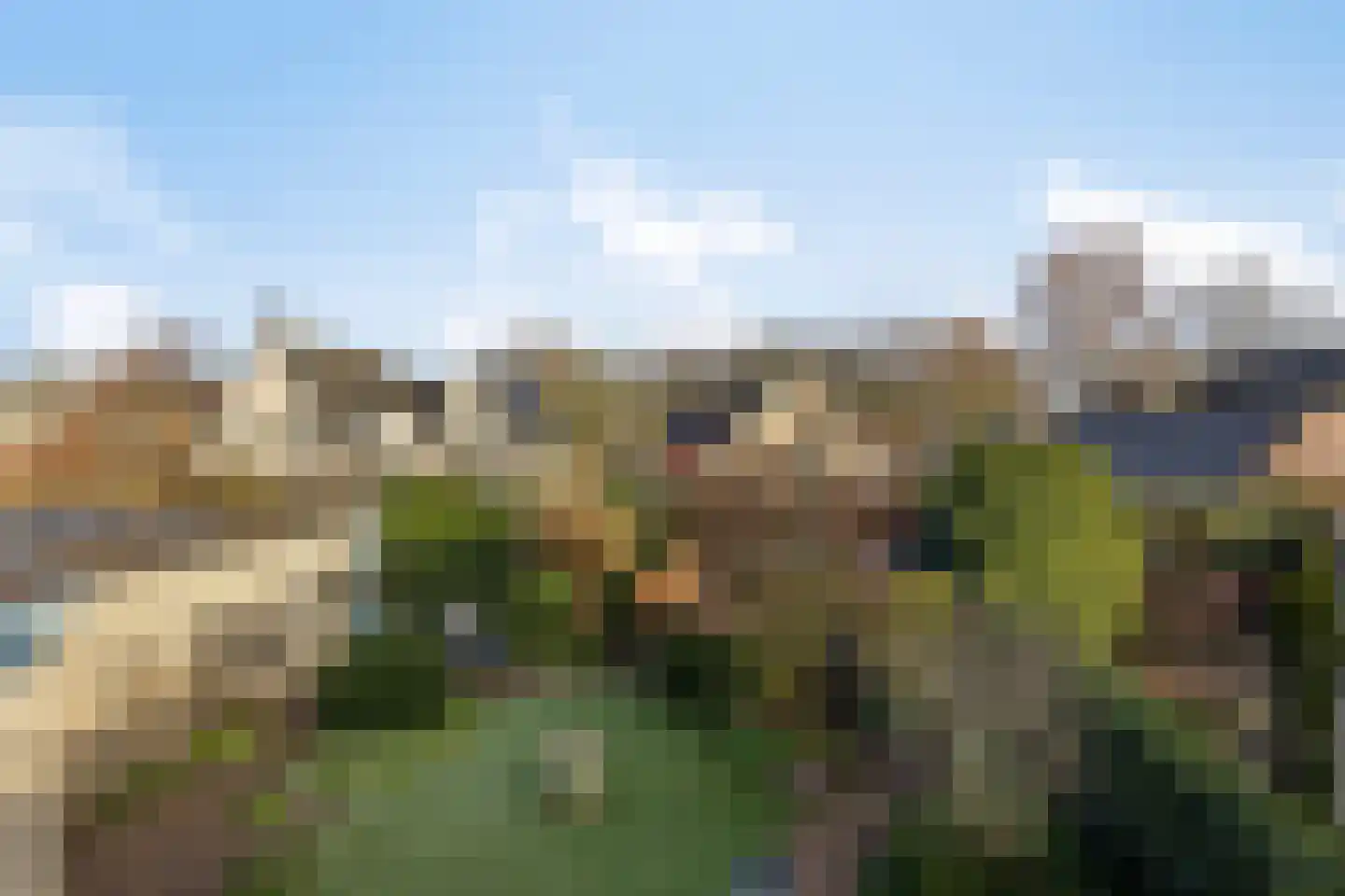 Vliegezwam 3 Veenendaal thumbnail 22