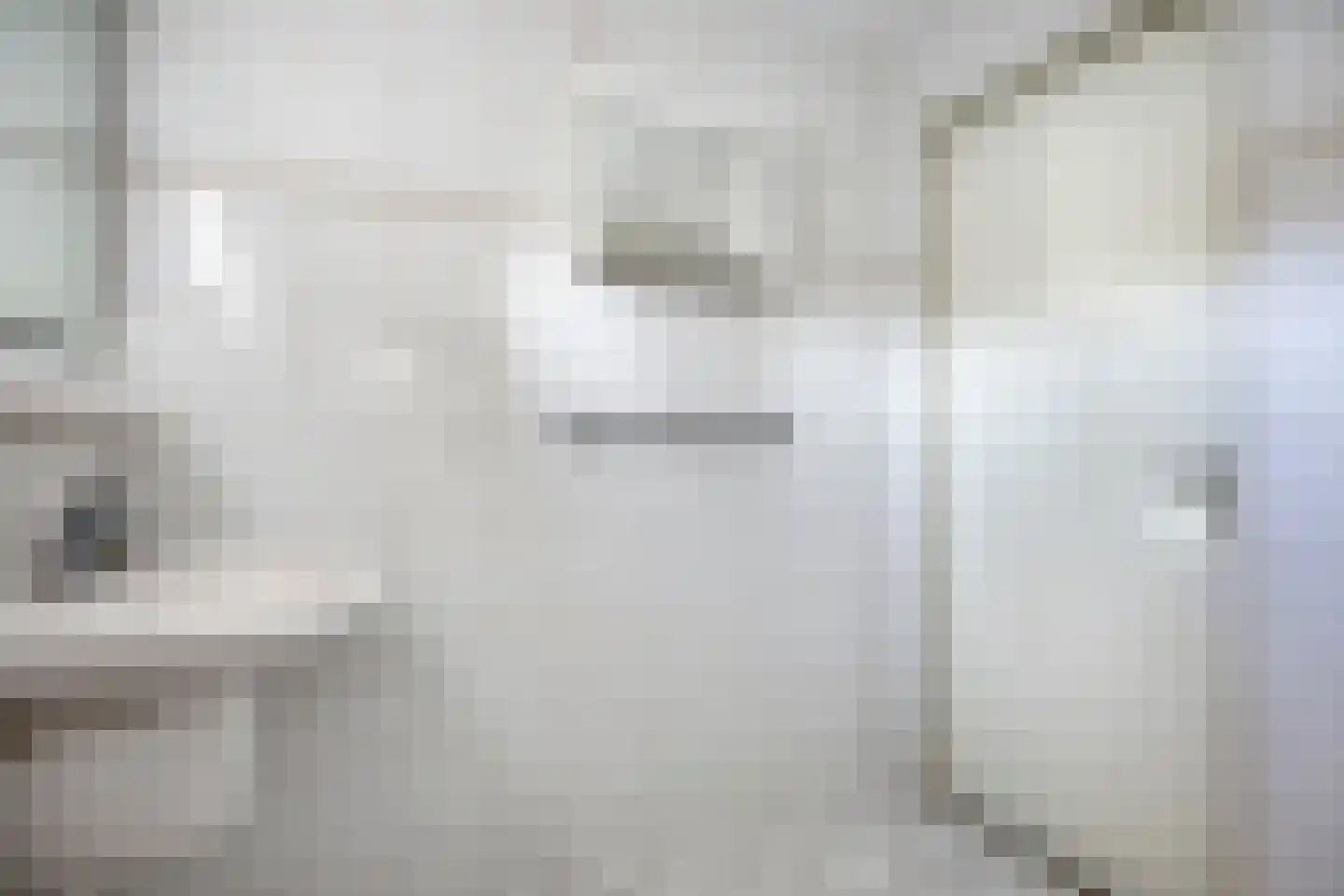Vliegezwam 3 Veenendaal thumbnail 23