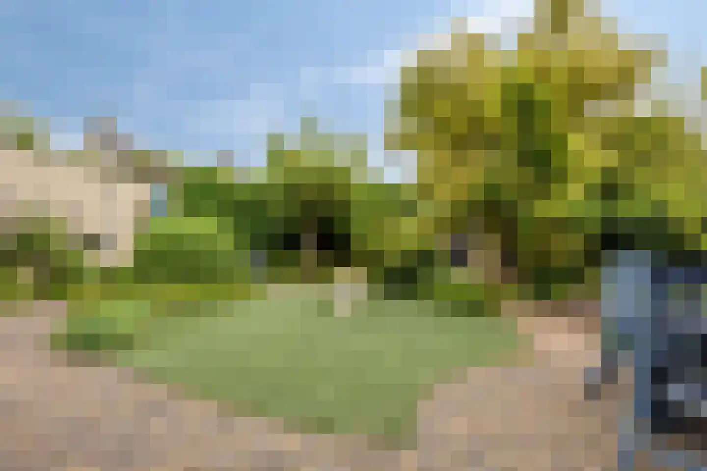 Vliegezwam 3 Veenendaal thumbnail 27