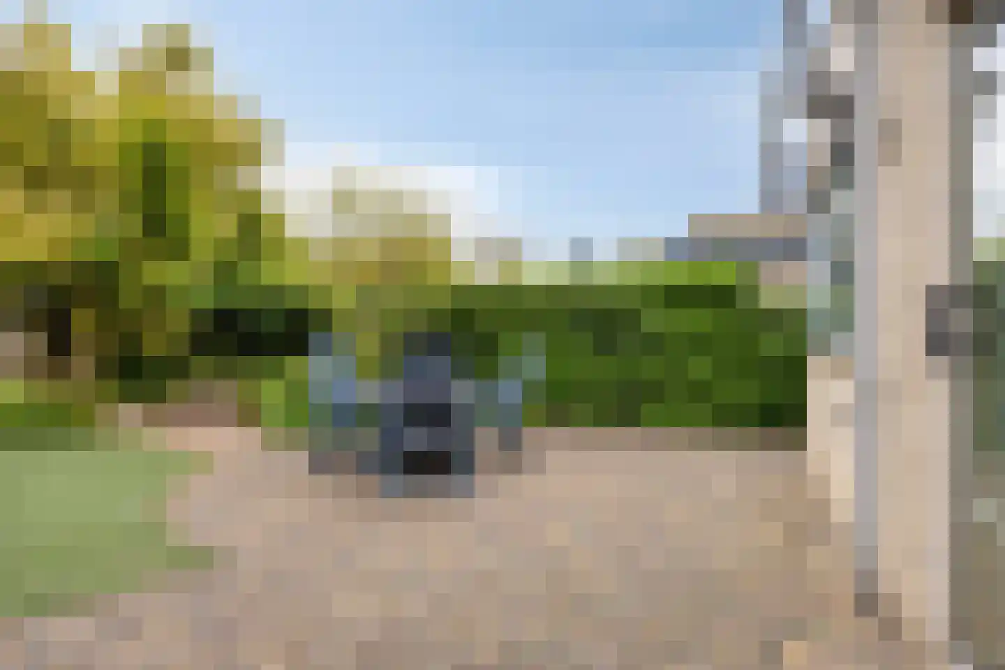 Vliegezwam 3 Veenendaal thumbnail 28