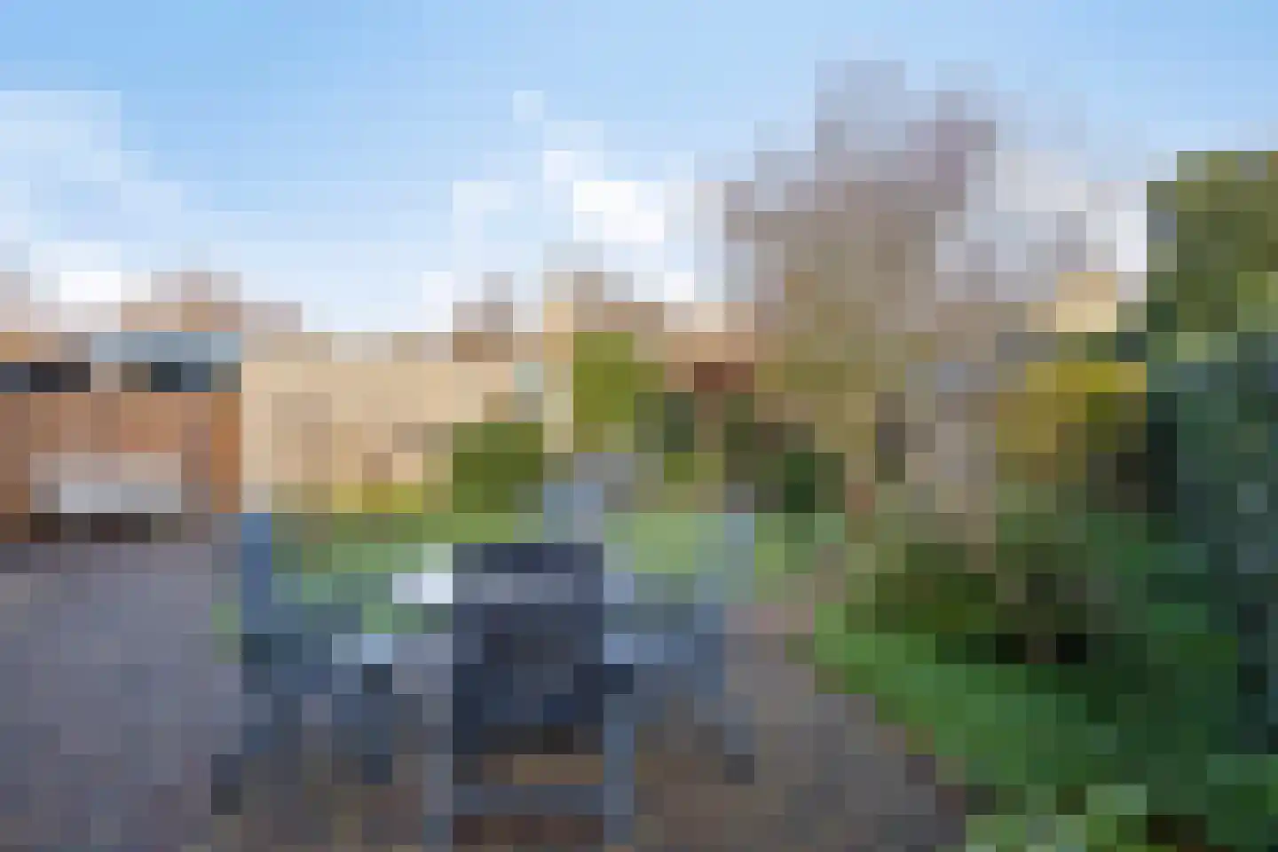 Vliegezwam 3 Veenendaal thumbnail 28