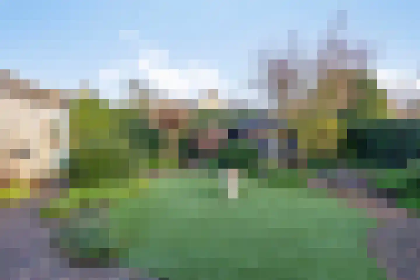Vliegezwam 3 Veenendaal thumbnail 29