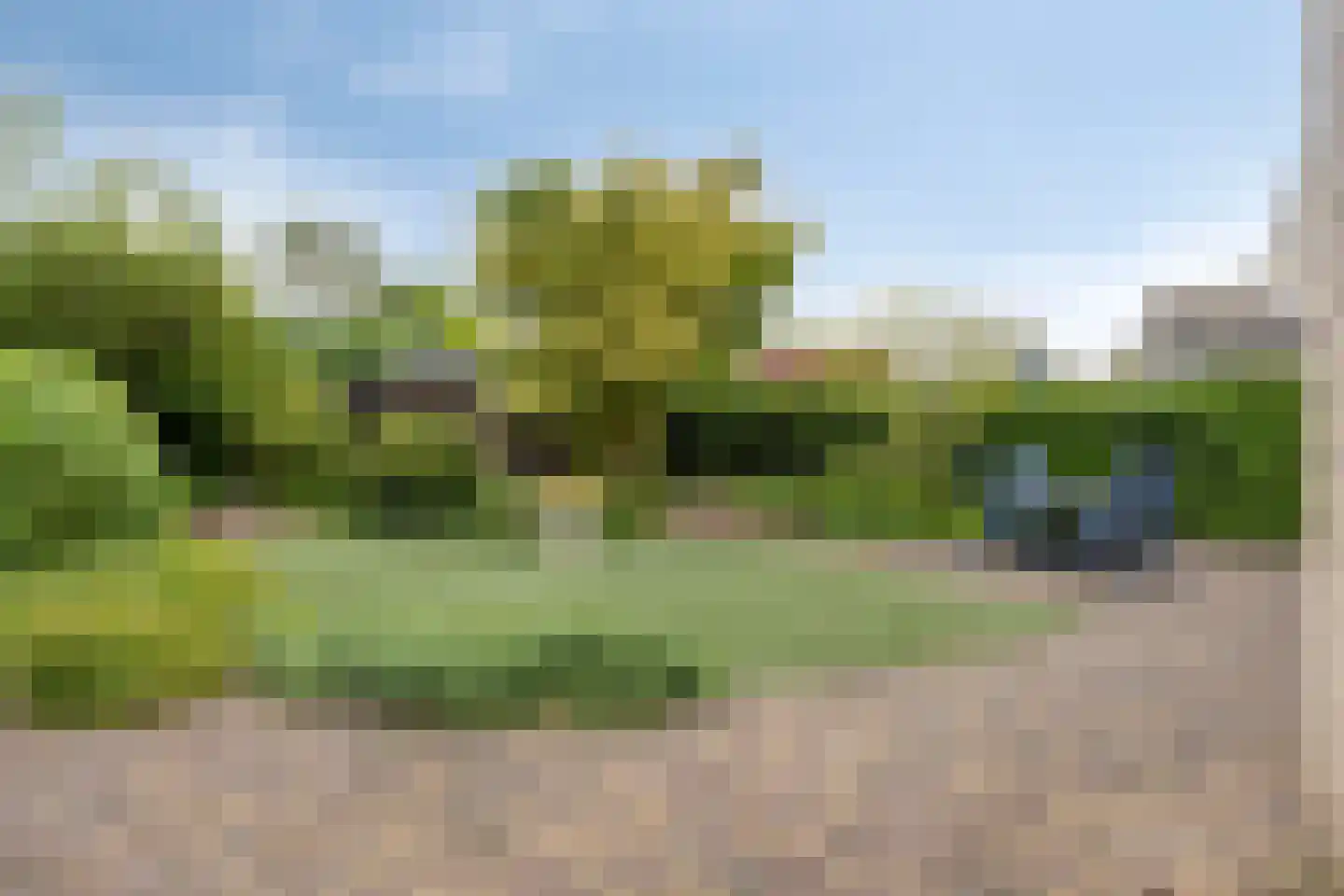 Vliegezwam 3 Veenendaal thumbnail 30