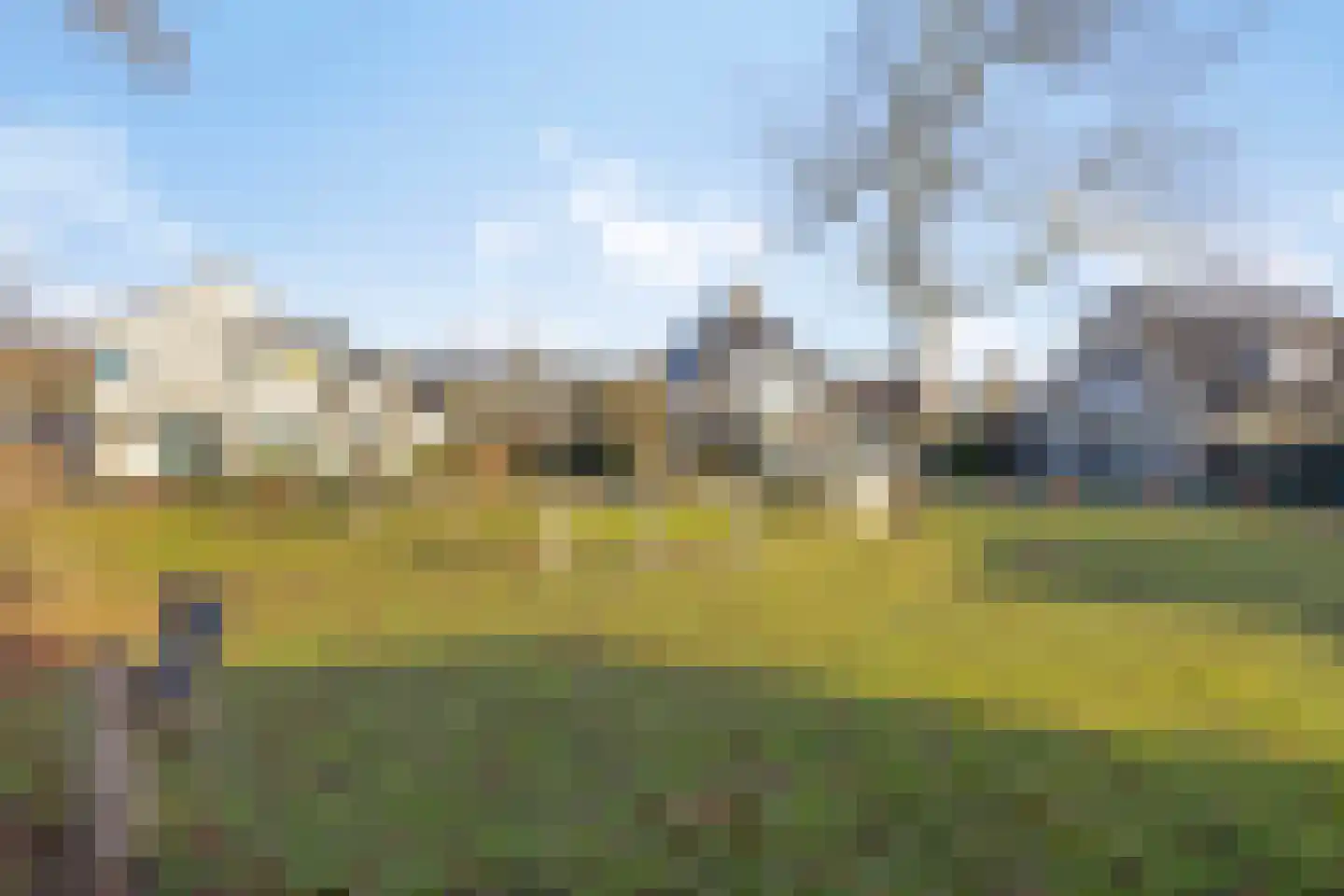 Vliegezwam 3 Veenendaal thumbnail 32