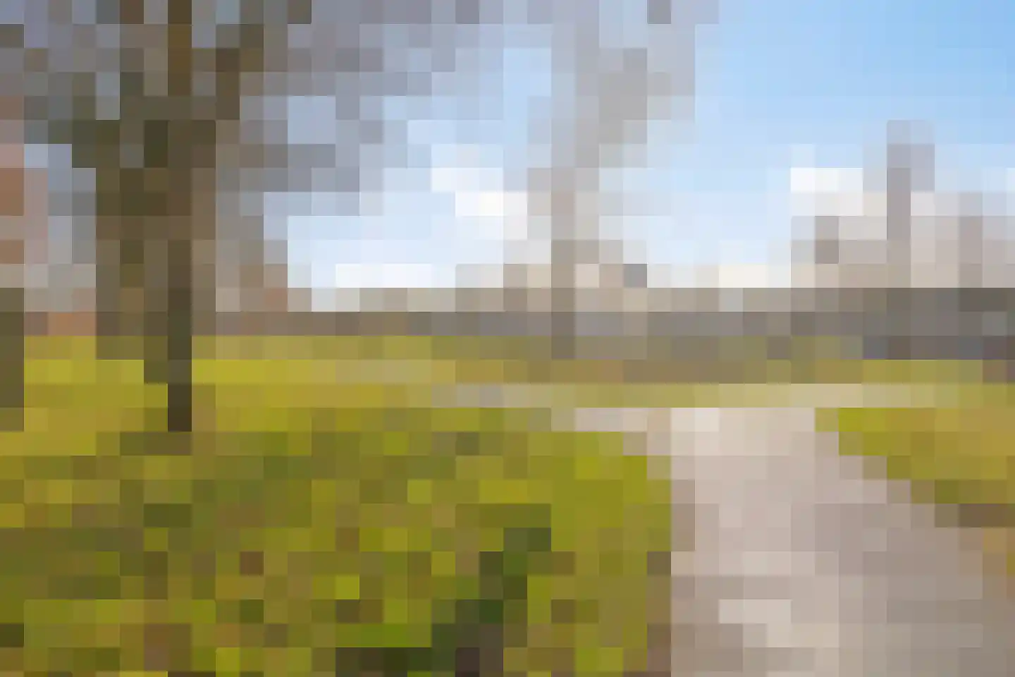 Vliegezwam 3 Veenendaal thumbnail 33